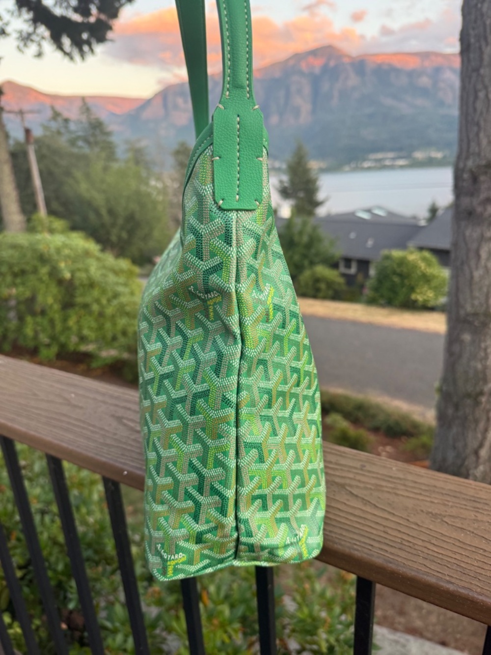 Goyard Meadow Green Boheme PM Hobo Bag - Read Description - Picture 4 of 13